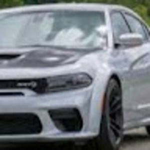 Meet your Posher, Will